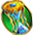 shape